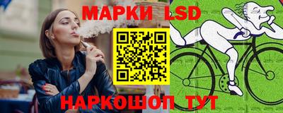 ECSTASY Гатчина
