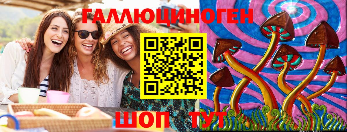 Нижнеудинск  Галлюциногенные грибы Psilocybine cubensis  Вход с VPN 